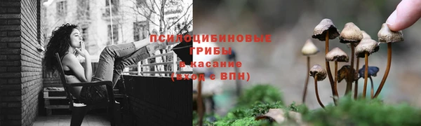 мяу мяу мука Алексин