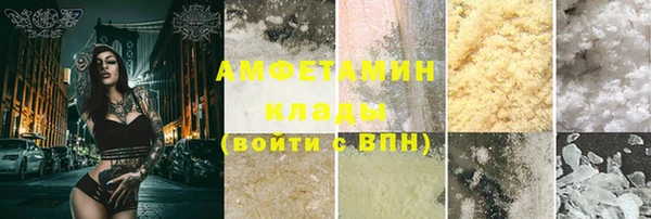 дживик Ельня