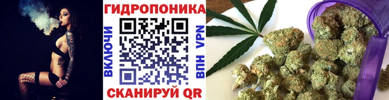 Марихуана гибрид купить Медынь